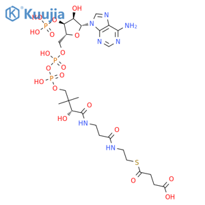 Coenzyme A, S-(hydrogen butanedioate) structure