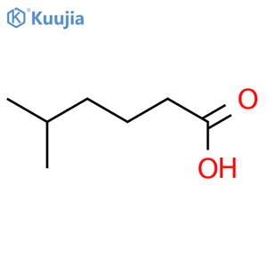 5-methylhexanoic acid structure