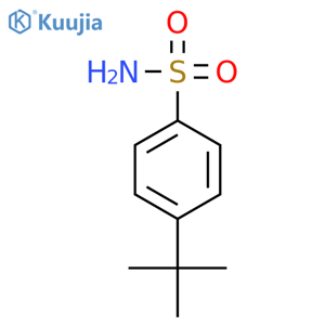 4-tert-butylbenzene-1-sulfonamide structure