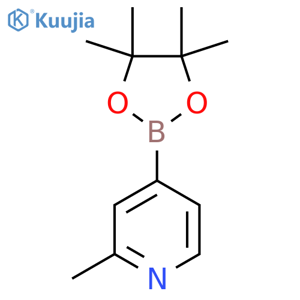 2-Methyl-4-(4,4,5,5-tetramethyl-1,3,2-dioxaborolan-2-yl)pyridine structure