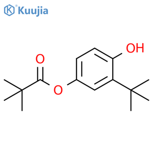 Propanoic acid, 2,2-dimethyl-, 3-(1,1-dimethylethyl)-4-hydroxyphenyl ester structure