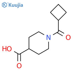 1-(cyclobutylcarbonyl)piperidine-4-carboxylic Acid structure