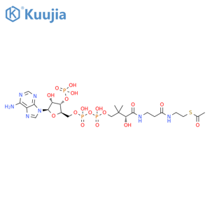 Coenzyme A, S-acetate structure