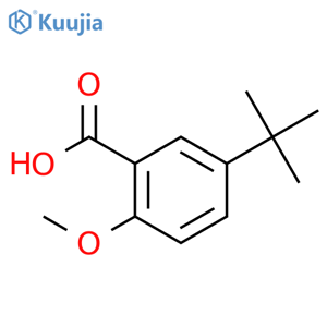 5-tert-Butyl-2-methoxybenzoic Acid structure