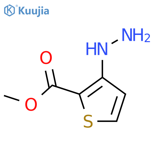 Methyl 3-Hydrazinothiophene-2-carboxylate structure