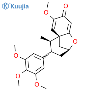 Denudatone structure