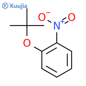 Benzene, 1-(1,1-dimethylethoxy)-2-nitro- structure