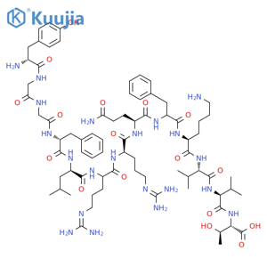 Dynorphin B structure