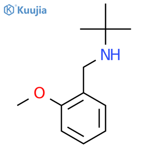 N-(2-Methoxyphenylmethyl)tert-butylamine structure