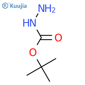 (tert-butoxy)carbohydrazide structure