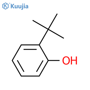 2-tert-Butylphenol structure