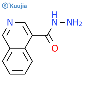 isoquinoline-4-carbohydrazide structure