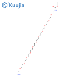 t-Boc-N-amido-PEG11-Amine structure