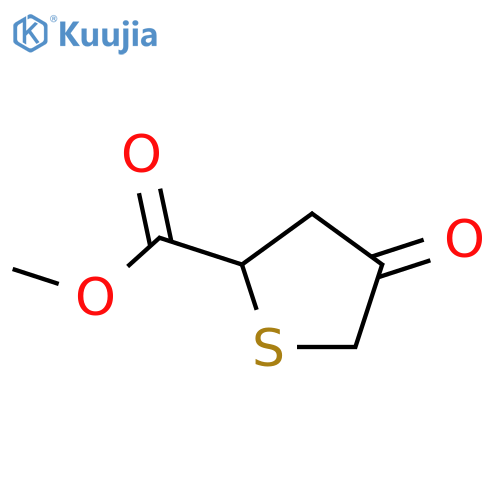 2-Thiophenecarboxylicacid, tetrahydro-4-oxo-, methyl ester structure