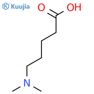 5-(Dimethylamino)pentanoic acid structure