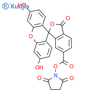 6-FAM SE structure