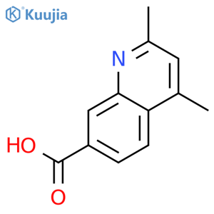 2,4-Dimethylquinoline-7-carboxylic acid structure