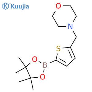 4-((5-(4,4,5,5-Tetramethyl-1,3,2-dioxaborolan-2-yl)thiophen-2-yl)methyl)morpholine structure