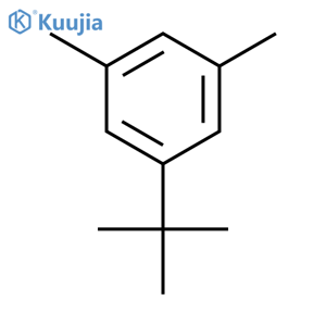 1-tert-Butyl-3,5-dimethylbenzene structure