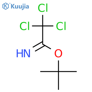 tert-butyl 2,2,2-trichloroethanecarboximidate structure